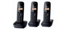 KX-TG1613NEH
